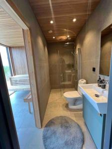 伊德勒Idre Northpark的浴室配有卫生间、盥洗盆和淋浴。