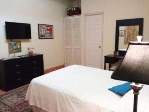 阿吉吉克Casita Montana Hotel的一间卧室配有一张床、梳妆台和电视。