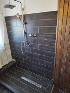 鲍洛通凯赖斯图尔Gabi vendégház的浴室设有黑色瓷砖淋浴。