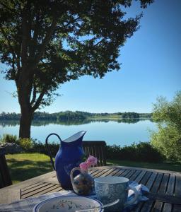 南雪平Private lakefront property的蓝色投手和桌子上的一杯,享有湖景