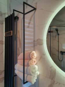 Cienista Dolina的带镜子的浴室内的毛巾架