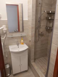布达佩斯Guest House Orczy Park的带淋浴、盥洗盆和镜子的浴室