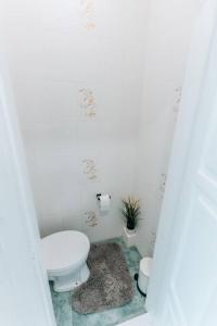 陶格夫匹尔斯Rigas street cozy apartment, city centre的白色的浴室设有卫生间和地毯。