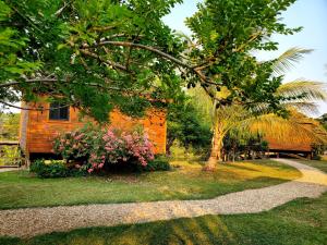 圣伊格纳西奥Yumas Riverfront Lodge的院子里有树和花的房子