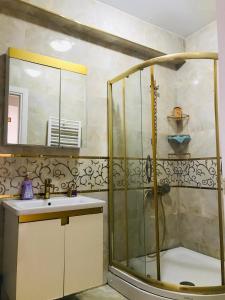 伊斯坦布尔Halil Bey Konağı的带淋浴和盥洗盆的浴室