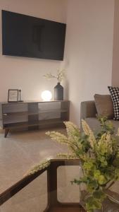 圣卡洛斯拉腊皮塔Apartamento Sol y Mar的带沙发和电视的客厅