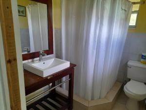 CarriacouAlexander's Apartment Carriacou的一间带水槽、卫生间和镜子的浴室