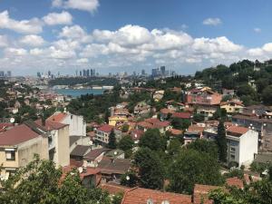 伊斯坦布尔Cozy Room in Istanbul's Central Uskudar的享有城市建筑和城市天际线的景致