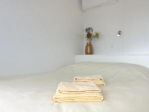 KerkdrielCasa de la Luz的浴室地板上配有2条毛巾