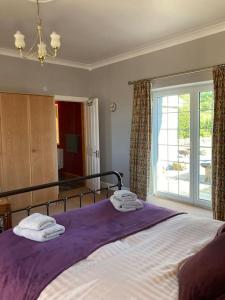 DalryPolharrow的一间卧室配有一张带紫色毯子的床和窗户。