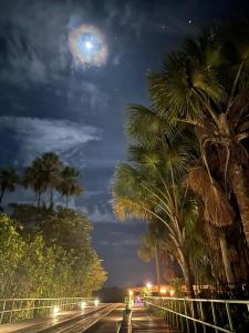 巴雷里尼亚斯Flat no Condomínio Gran Lençóis-Barreirinhas - MA的一条晚上有棕榈树的街道,月亮