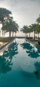 关丹D'Qaseh Ummi Timurbay Pantai Balok Kuantan的一座棕榈树环绕的大型游泳池