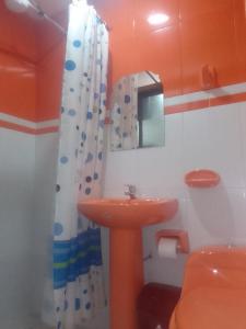 乌尤尼Hostal Sin fronteras的一间带水槽和淋浴帘的浴室