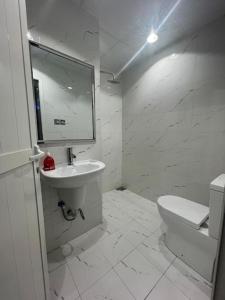 八田Hatta Orchard的白色的浴室设有水槽和卫生间。