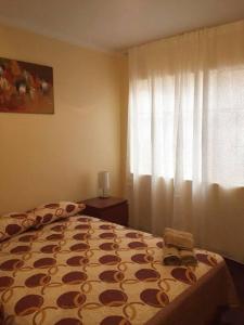 利马Sta Catalina / San Isidro , Furnished Family Home的一间卧室设有一张床和一个窗口