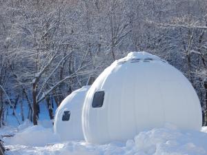 札幌Redoor Sapporo的两座冰屋,在树前被雪覆盖