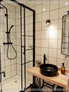 里翁山区APPART HOTEL Place des Jolis Rêves的一间带水槽和淋浴的浴室