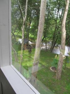 Skulte夏日度假屋的窗户享有树木庭院的景致