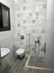 Al KhalīlGerman-Palestinian Appartement的一间带卫生间和水槽的浴室