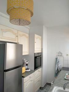 圣拉斐尔Appartement T3 plein centre的厨房配有不锈钢冰箱