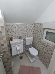 萨拉热窝Nahorevska vikendica的一间带卫生间和水槽的小浴室