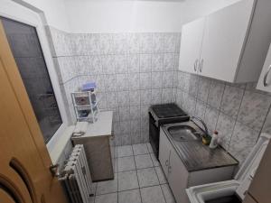 康斯坦察Apartament Ciresica的一间带水槽和炉灶的小厨房