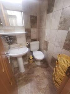 康斯坦察Apartament Ciresica的一间带卫生间和水槽的小浴室