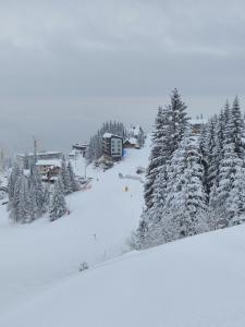 亚霍里纳Rajska Jahorina 2212的拥有雪覆盖树木和建筑的滑雪胜地