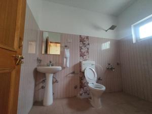 列城Streamlet homestay的一间带卫生间和水槽的浴室