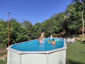 奇维塔韦基亚DIMORA IL CAMALEONTE, apartments in nature near the sea的一群人在游泳池玩耍