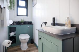 桑德斯富特Willows Rest - 1 Bed Shepherds Hut - Pentlepoir的浴室配有白色水槽和卫生间。