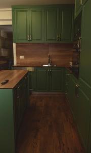 乌罗舍瓦茨Villa Royal - Jezerc的铺有木地板的厨房配有绿色橱柜