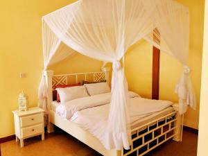 阿鲁沙Heart Of Africa Adventure and Apartments的卧室配有带白色床单和枕头的天蓬床。