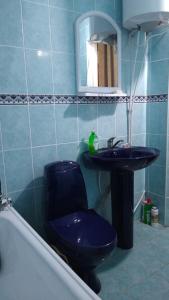 瓦杜卢伊沃达Дом-House в Vadul lui Voda的蓝色的浴室设有卫生间和水槽