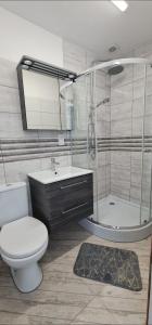 乌斯特卡Dom Wypoczynkowy Oliwka的浴室配有卫生间、盥洗盆和淋浴。