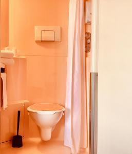 圣莫尔沙托鲁 - 圣莫尔普瑞米尔经典酒店的一间带卫生间和淋浴帘的浴室