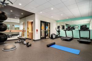 赫尔希Tru By Hilton Hershey Chocolate Avenue的健身房设有数台跑步机和健身器材