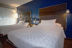 俄克拉何马城Tru By Hilton Oklahoma City Nw Expressway的酒店客房设有两张床和蓝色的墙壁。