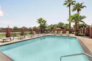 休斯顿休斯敦霍比机场希尔顿恒庭酒店的一个带躺椅的游泳池,棕榈树