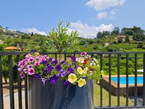 Santa Cruz do DouroCasa da Milinha - Villa with a Pool near Rio Douro的阳台上装满鲜花的蓝色花瓶