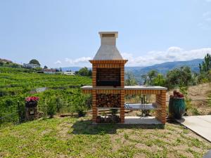 Santa Cruz do DouroCasa da Milinha - Villa with a Pool near Rio Douro的一座带山的庭院内的砖砌壁炉