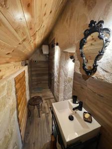 扎布利亚克NV Mountain House的一间带水槽和镜子的浴室