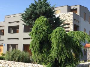 特里班Apartments Smiljanic的一座建筑前的松树