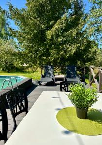 VecumniekiSemo guest house with amazing sauna and pool的一个带桌椅的庭院和一个游泳池