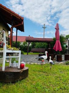 锡比乌盐矿镇Casa Raisa & Maria的两只鸟站在草地上,旁边是长凳和一把伞