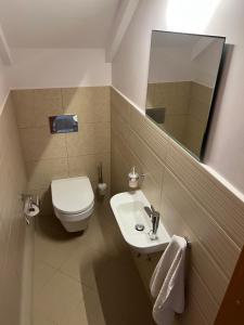 德鲁斯基宁凯Sausoji Apartment的一间带卫生间、水槽和镜子的浴室