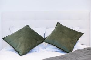 卡尔卡松**Auberge de l'Aude**的床上的2个绿色枕头