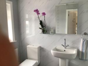 滨海戈尔斯顿Océan Waves的一间带水槽、卫生间和镜子的浴室