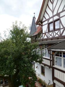 SchalkauFerienwohnung Grebner的前面有一棵树的房子
