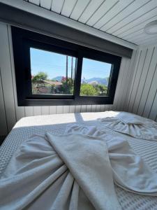 达利安Grenadine Lodge的窗户客房内的一张床位